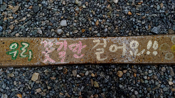 이 글을 읽는 이들도 부디 꽃길만 걷길 바라며