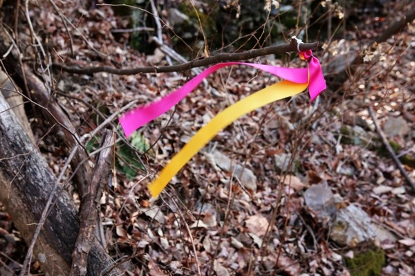 진안 고원길의 리본. 단아한 색이 너무나 아름답다.>