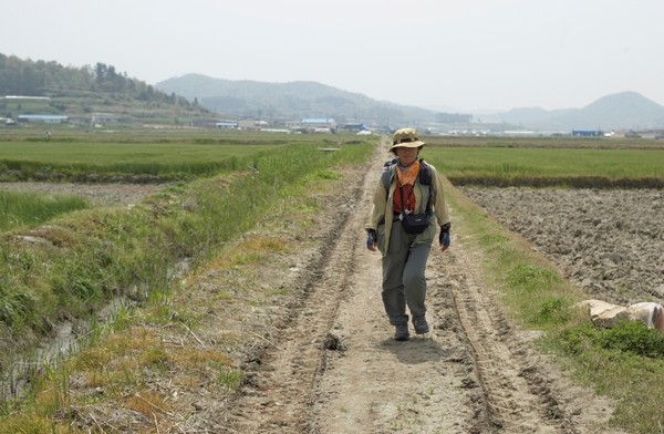 해안일주, 당진 구간을 걷는 황안나 선생님