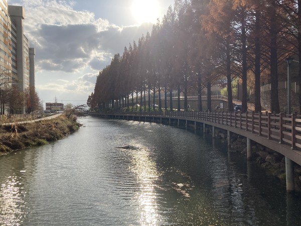 100년된 근대문화유산이자 익산, 삼례, 원주, 군산의 또 다른 젖줄인 동산동 대간선수로