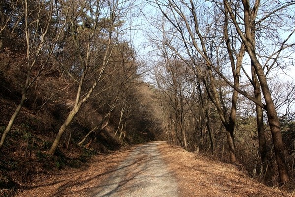 익산 함라산둘레길