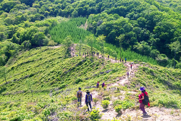 DMZ 펀치볼 둘레길