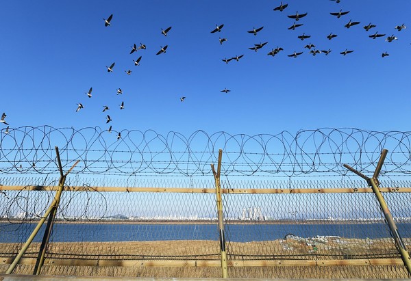 한갈변 철책의 모습 (사진 : 김포시 블로그)