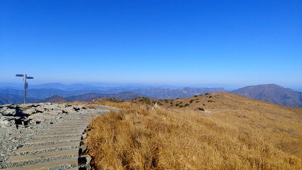 천황산 정상 바로 전에서 본 영남알프스 산군