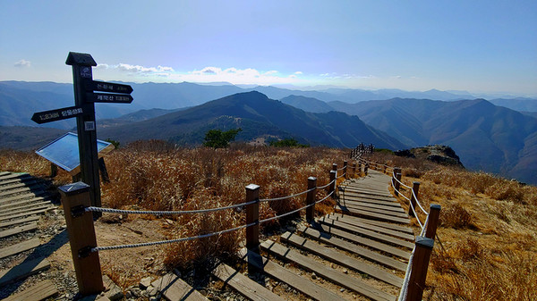 천황산에서 천황재 방면. 사자평 억새길의 시작이다.