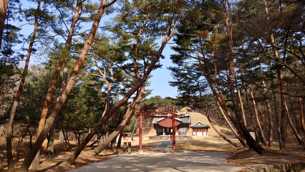 태조 이성계의 건원릉 가는 길