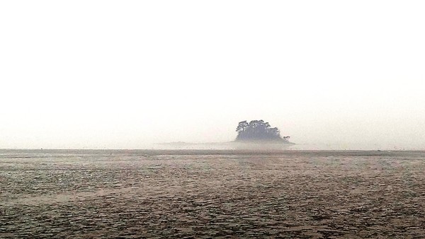 와온해변에서 바라본 솔섬