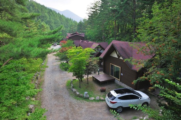 태백고원자연휴양림 (사진제공 태백시청)