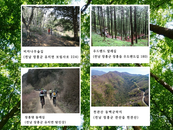 장흥군 힐링로드 추천길 (사진제공 장흥군청)