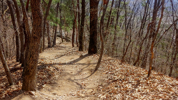 파사산을 내려가다. 참 예쁜 길이다.