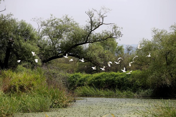 화포천 생태습지 공원 (사진제공 경상남도청)