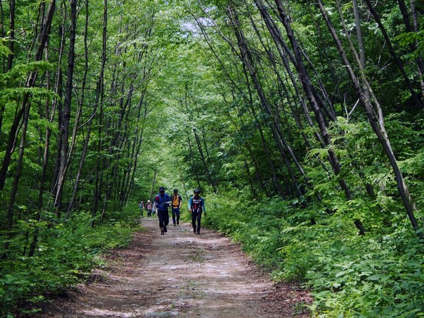 백두대간트레일 (사진제공 산림청)