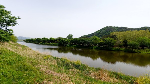 송산유원지 부근의 황룡강