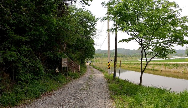 길 좌측으로 산길로 오르는 진입로가 보인다.