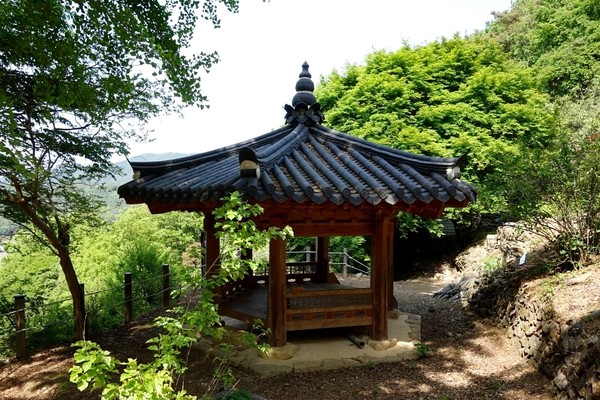 가학정
