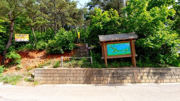 도로를 만난 후 우측 산길로 진입한다.