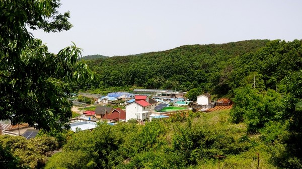 장봉3리마을