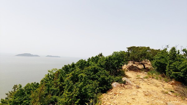 봉화산 능선