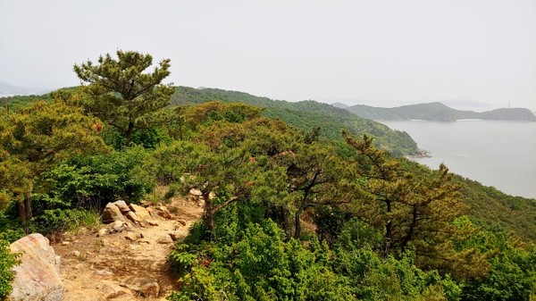 장봉도 갯티길 2코스 하늘나들길의 능선구간