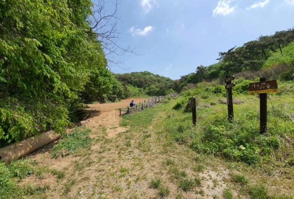 왕동저수지고향길