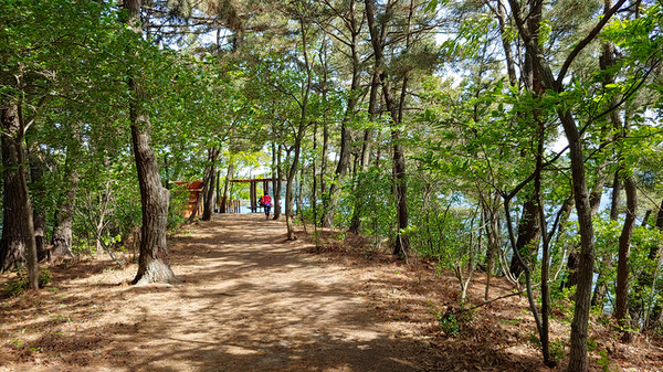 군산호 둘레로 잘 조성된 산책로