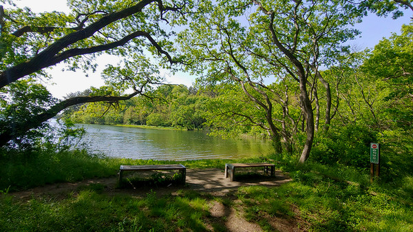녹음이 우거진 호수는 그 자체로 힐링이다.