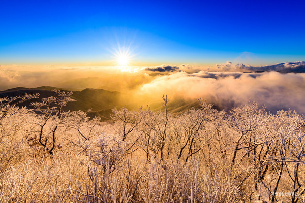 치악산의 아침 (사진제공 국립공원공단_최창우)