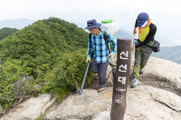 광양시 백운산 등산로 자연정화활동 (사진제공 광양시청)