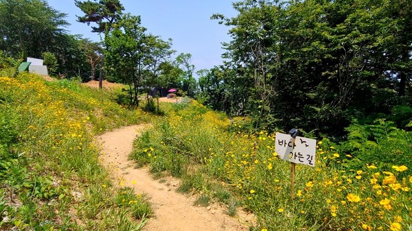 시작할 때에는 못 보고 지나친 표지판