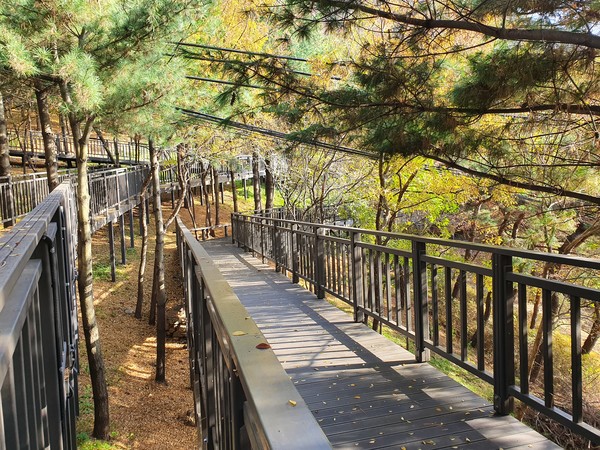 금천구, 호암늘솔길 무장애 데크길. 금천구 제공