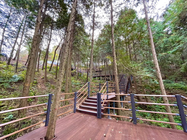 진주시, 진양호공원 편백숲 전경. 진주시 제공