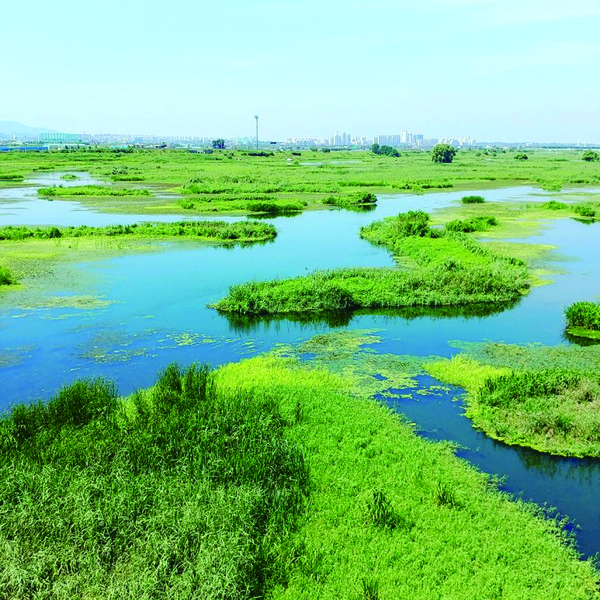 완주군, 만경강 신천습지. 완주군 제공.