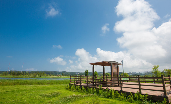 강릉시, 경포가시연습지. 강릉시 제공