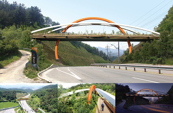 태백시, 연화산-대조봉 생태탐방로 조성사업. 태백시 제공