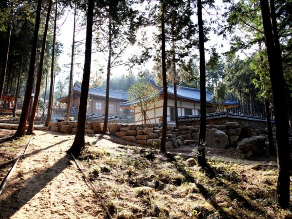 장흥군, 편백숲 우드랜드. 장흥군 제공