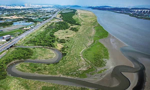고양시, 장항습지. 고양시 제공