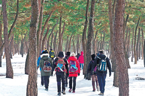 강릉바우길. (사)강릉바우길 제공