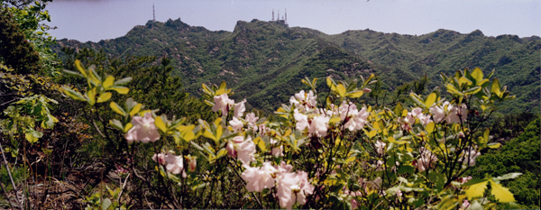 서울 관악구, 관악산. 관악구 제공