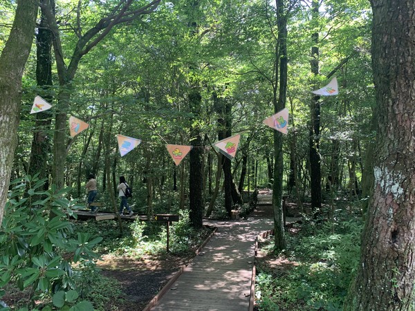 서귀포시, 노고록숲길. 서귀포시 제공