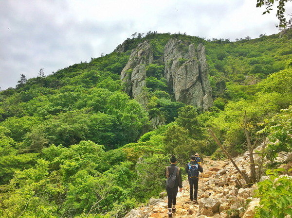 해남군, 달마고도. 해남군 제공