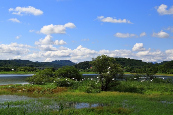 서천군 봉선지. 서천군 제공