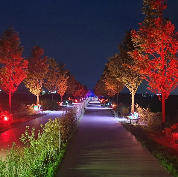 익산 인화공원 솜리메타누리길 야간조명. 익산시 제공