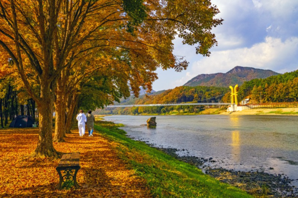 영동군, 송호금강 물빛다리. 영동군 제공