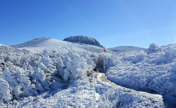 겨울 한라산 어리목 코스. 제주관광공사 제공