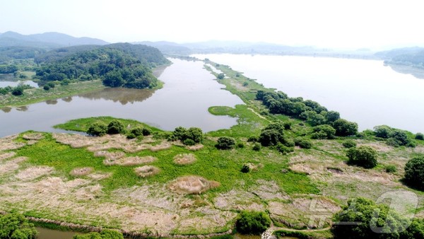 우포늪(창녕군 제공)